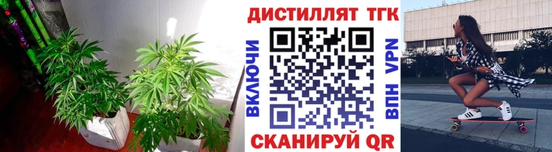 Дистиллят ТГК THC oil  где купить наркоту  Иннополис 