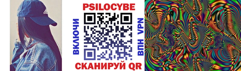 Псилоцибиновые грибы Psilocybe  Иннополис 